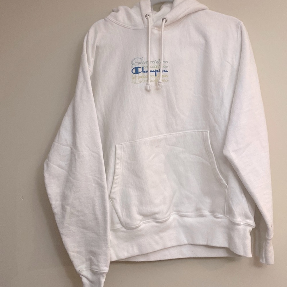 Champion Sweater